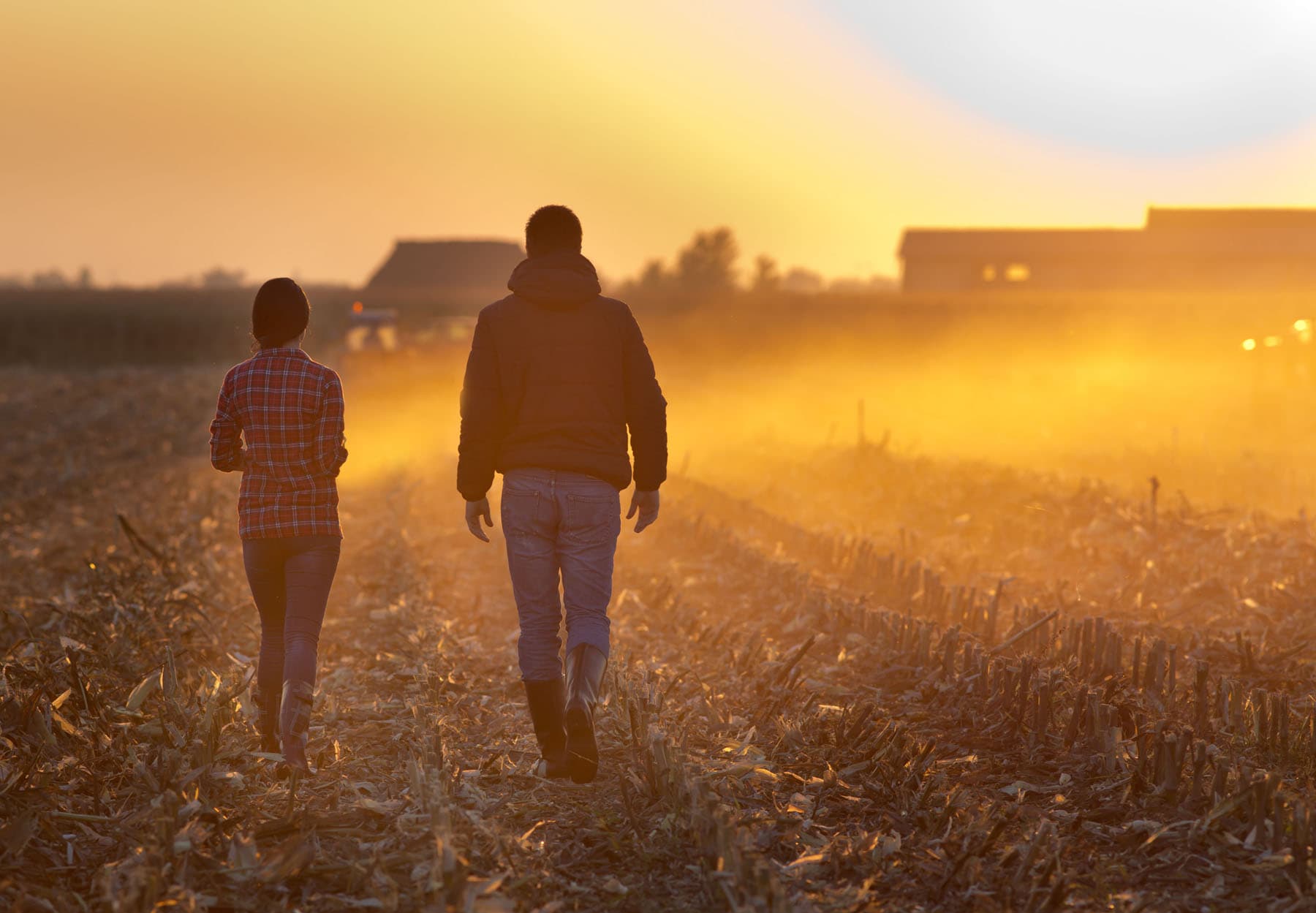 Connects Rural Australia to Mental Health Services